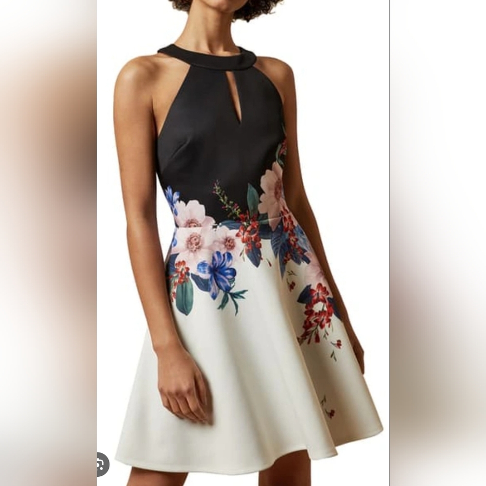 Ted baker Dress
